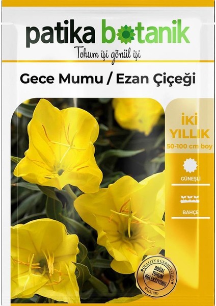 100 Adet Ezan Çiçeği (Oenothera) Çiçek Tohumu