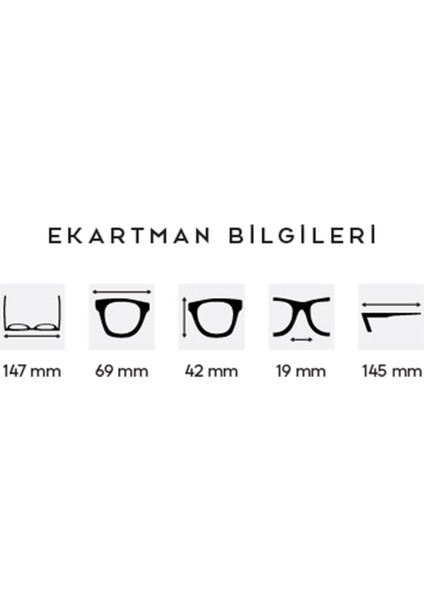 Alisa Cat Eye Lila Güneş Gözlüğü