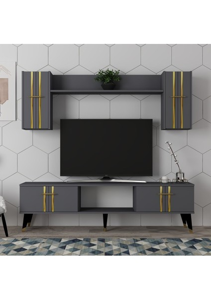 Aseldh Tv Ünitesi ve Konsol 2'li Salon Takımı Antrasit-Altın