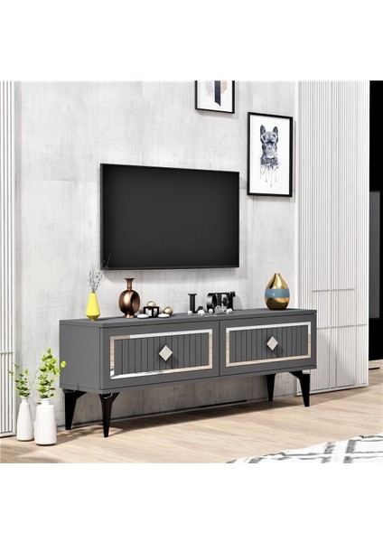 Demonte Home Mobilya Vennadh 120 cm Tv Ünitesi Antrasit Gümüş