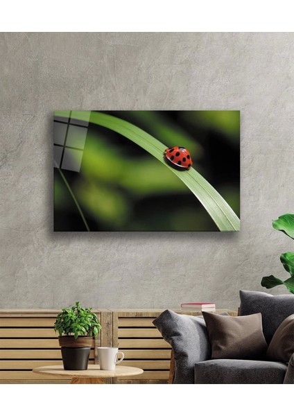 Teknoo- Uğur Böceği Yeşil Yaprak Cam Tablo fiyatları