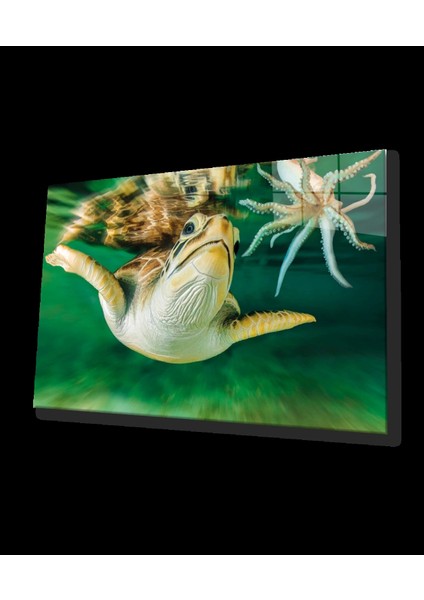 Teknoo- Sualtı Cam Tablo Marine Life