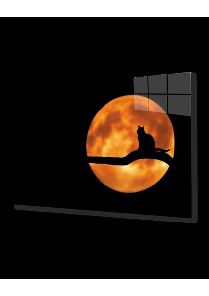 Teknoo- Dolunayda Kedi Cam Tablo