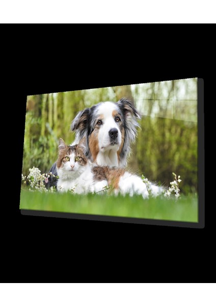 Teknoo- Kedi Köpek Cam Tablo