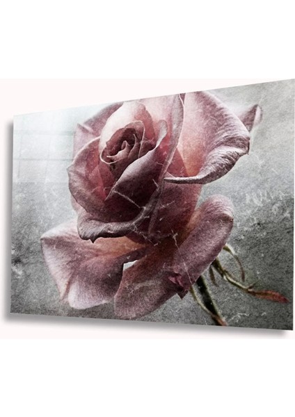 Teknoo- Gül Cam Tablo