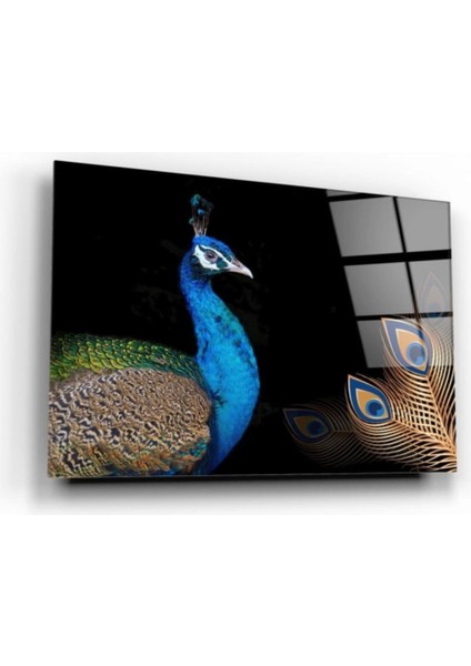 Teknoo- Tavuskuşu Cam Tablo