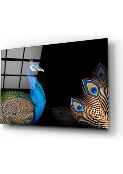 Teknoo- Tavuskuşu Cam Tablo fiyatları