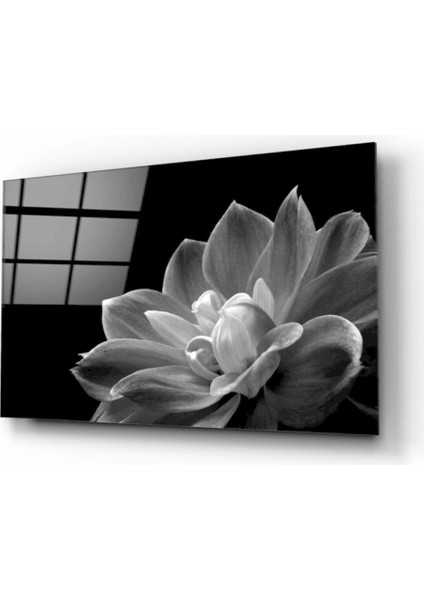 Teknoo- Çiçek Cam Tablo