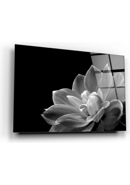 Teknoo- Çiçek Cam Tablo fiyatları