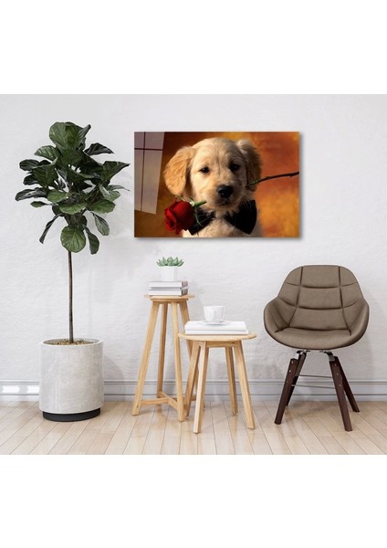 Teknoo- Köpek ve Gül Cam Tablo fiyatları