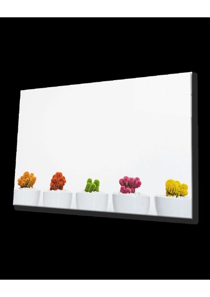 Teknoo- Beyaz Vazoda Kaktüs Çiçek Cam Tablo