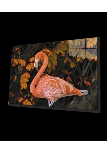 Teknoo- Flamingo Cam Tablo