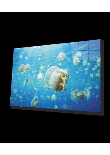 Teknoo- Sualtı Cam Tablo