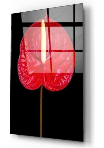 Teknoo- Çiçek Cam Tablo fiyatları