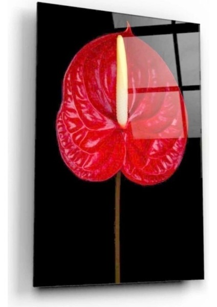 Teknoo- Çiçek Cam Tablo modelleri