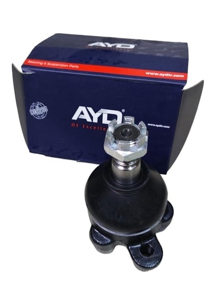 Rotbaşı Sağ Cıvıc 06 ->