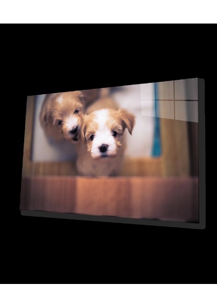 Teknoo- Köpekler Cam Tablo