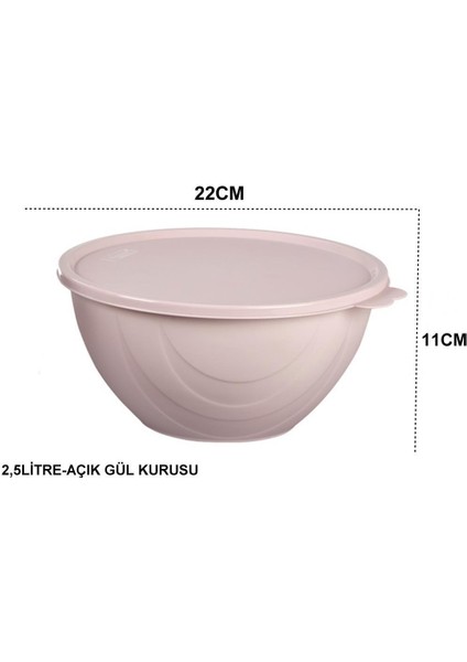 Moon Star Elegance Kapaklı Yoğurt Mayalama Kabı Yemek Saklama Kabı 2,5LITRE-RBK-312 indirimleri