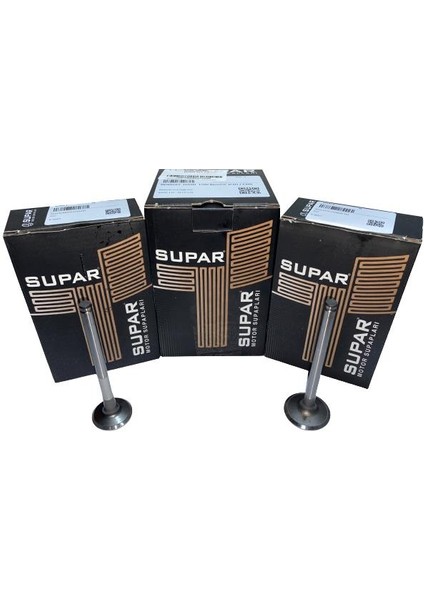 Subap Takım / Renault Flash 1700 / 105319108 - 7701463082/770
