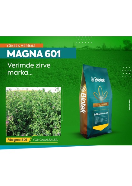 Magna 601 Orjinal Azot Bakterili Yonca Tohumu 10 kg