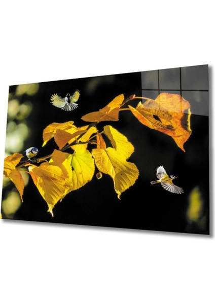 Teknoo- Manzara 2 Cam Tablo