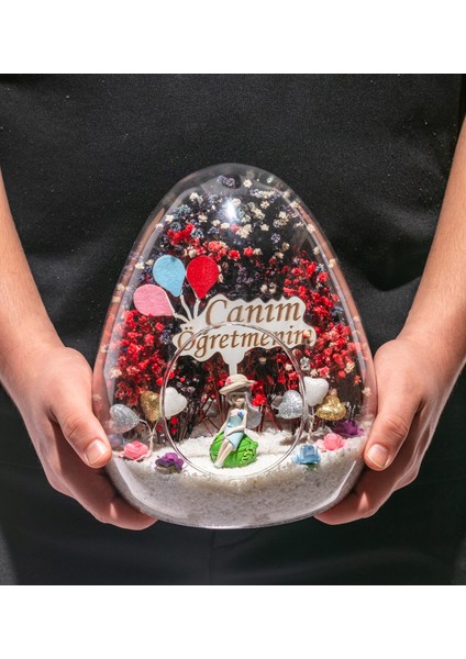 Teraryum Canım Öğretmenim fiyatları