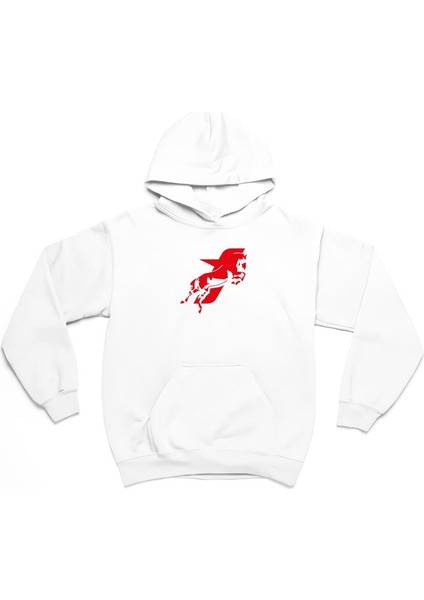 Motive Taycan Baskılı 3 Iplik Kalın Kışlık Sweatshirt Hoodie