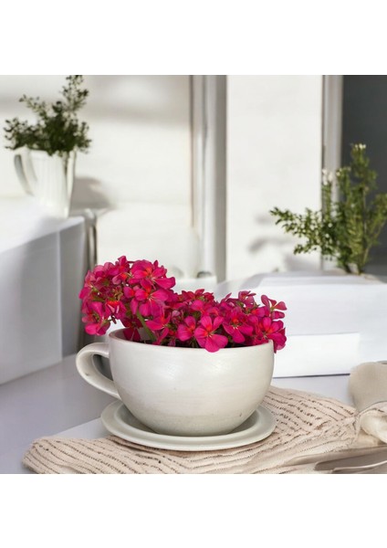 Dekoratif El Yapımı Beton Büyük Fincan Saksı - Beyaz