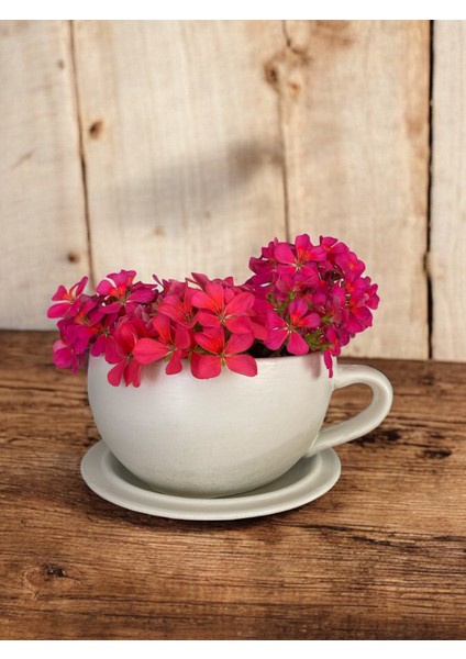 Dekoratif El Yapımı Beton Büyük Fincan Saksı - Beyaz modelleri