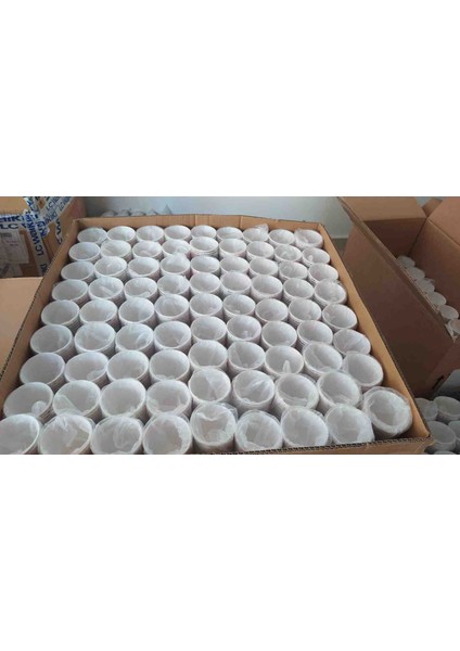 Karton Bardak fiyatları