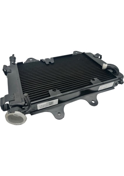 Bajaj Dominar 400 Radyatör