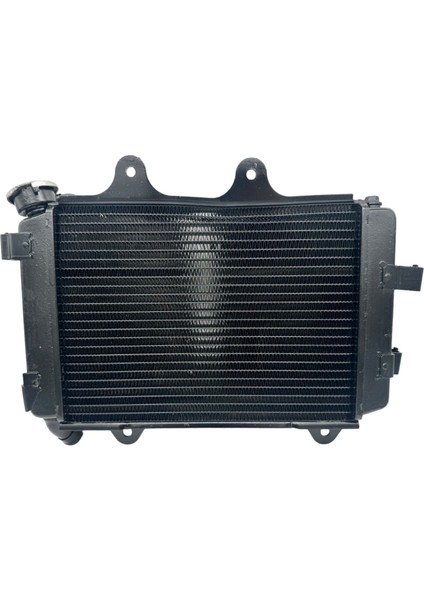 Bajaj Dominar 400 Radyatör fiyatları