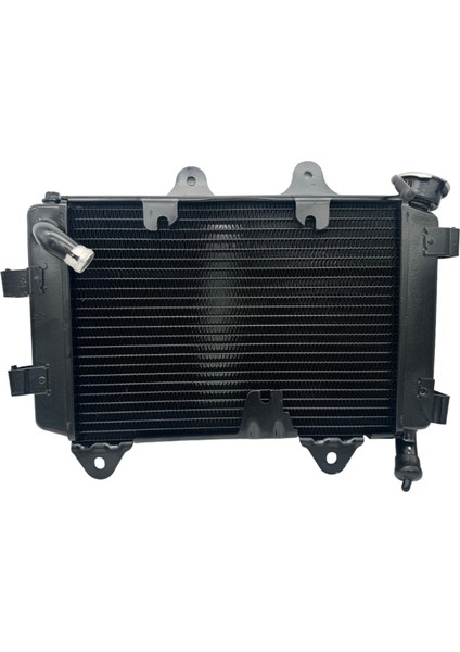 Bajaj Dominar 400 Radyatör modelleri