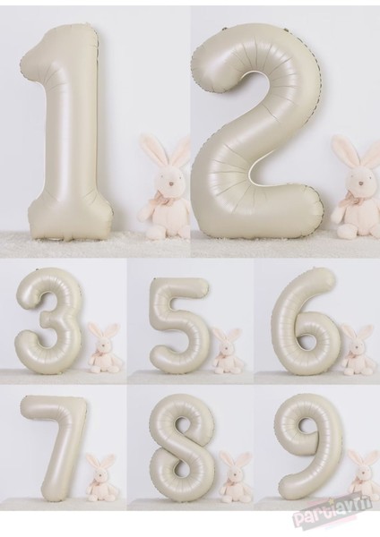 Tema Doğum Günü Seti Bej Krem Rakam Retro Yaş Tema Doğum Günü Bahar Konsept Balon fiyatları