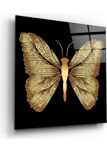 Teknoo- Kelebek Cam Tablo