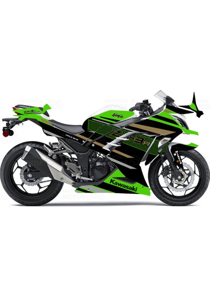 Kawasaki Ninja 300 ZX-3R Desing Sticker Set