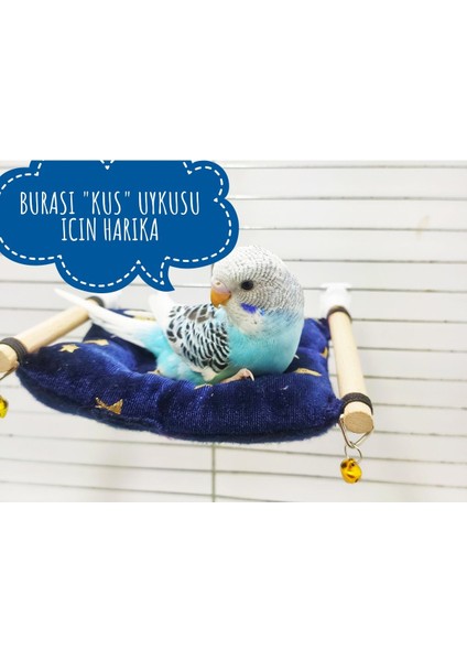 Ozzi Petshop Gaga Taşı Özellikli Salıncak ve Kuş Yatağı Seti