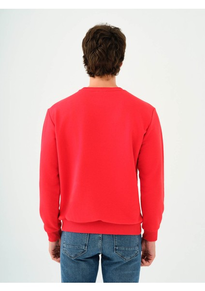 Erkek Sweatshirt Mercan LF2037100