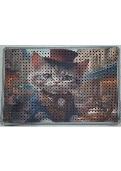 Kedi Kumu Paspası, Delikli Kedi Paspası, Elekli Kedi Tuvaleti Paspası, 40*60