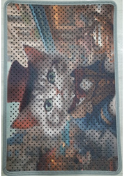 Kedi Kumu Paspası, Delikli Kedi Paspası, Elekli Kedi Tuvaleti Paspası, 40*60