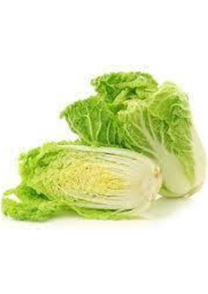 50 Adet Tohum Nadir Çin Yaprak Lahana Tohum fiyatları