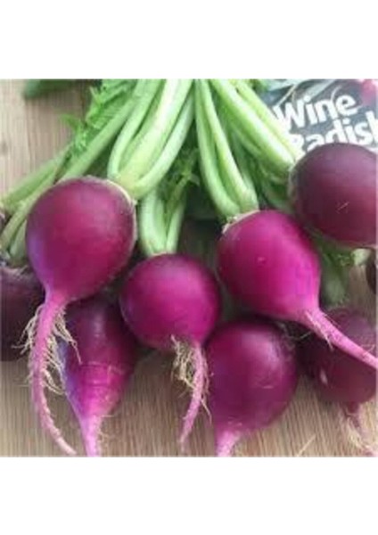 100 Adet Tohum Nadir Mor Turp Tohumu Sebze Tohumu modelleri