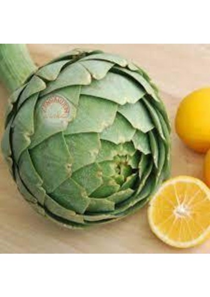 10 Adet Tohum Enginar Tohumu Geleneksel Tohum