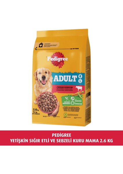 Yetişkin Sığır Etli ve Sebzeli Kuru Mama 2.6 kg