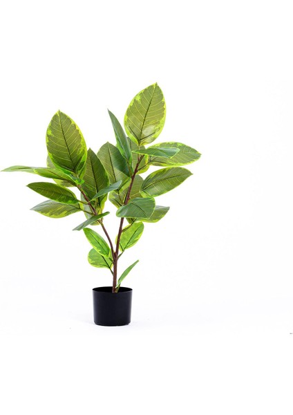 Yapay Ficus Altissima Ağacı Yeşil 90 cm