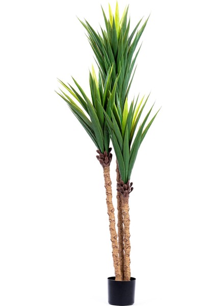 Yapay Yucca Ağacı Yeşil 180 cm