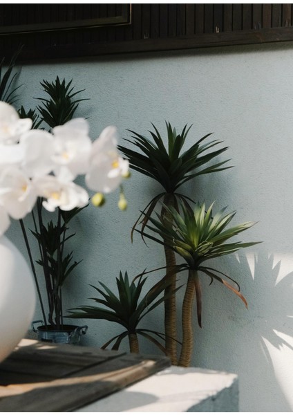 Yapay Yucca Ağacı Yeşil 180 cm