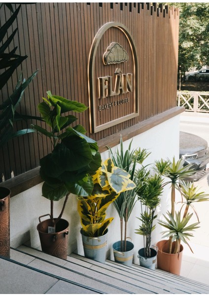 Yapay Yucca Ağacı Yeşil 180 cm