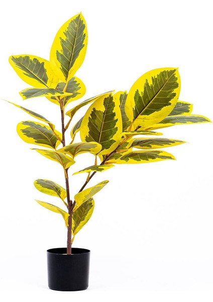 Yapay Ficus Altissima Ağacı Sarı Yeşil 90 cm