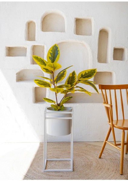 Yapay Ficus Altissima Ağacı Sarı Yeşil 90 cm